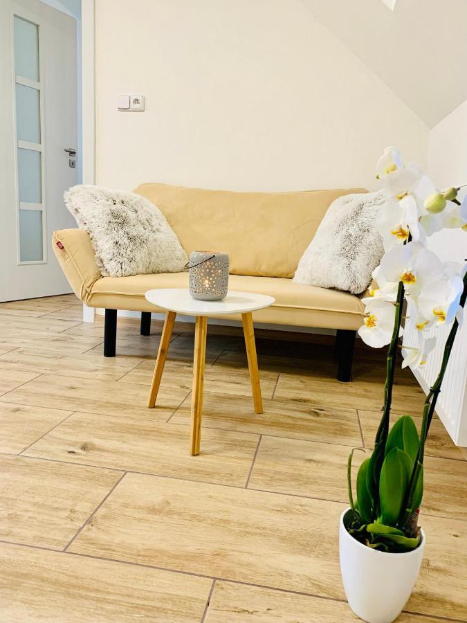 Apartmany Jetrichovice - Ceske Svycarsko Eksteriør billede