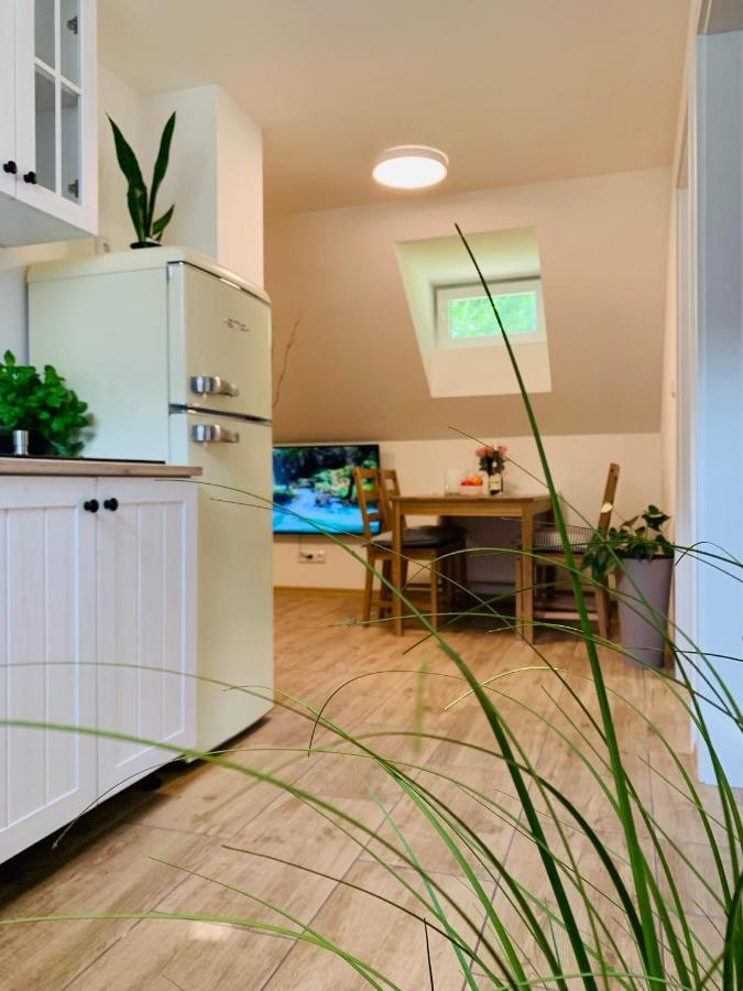 Apartmany Jetrichovice - Ceske Svycarsko Eksteriør billede
