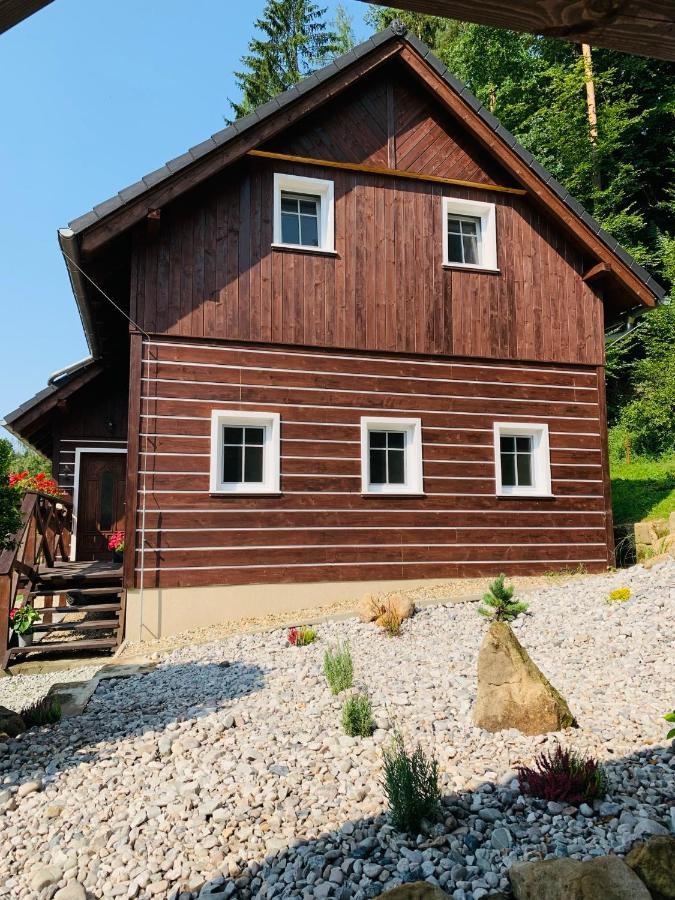 Apartmany Jetrichovice - Ceske Svycarsko Eksteriør billede