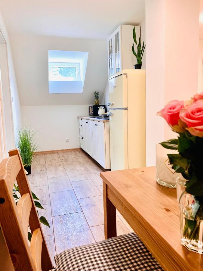 Apartmany Jetrichovice - Ceske Svycarsko Eksteriør billede